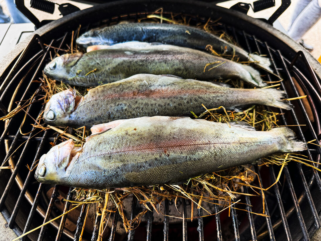 Forelle geräuchert und gedünstet im Big Green Egg