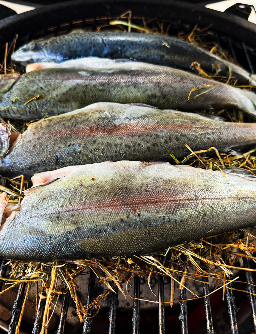 Forelle geräuchert und gedünstet im Big Green Egg