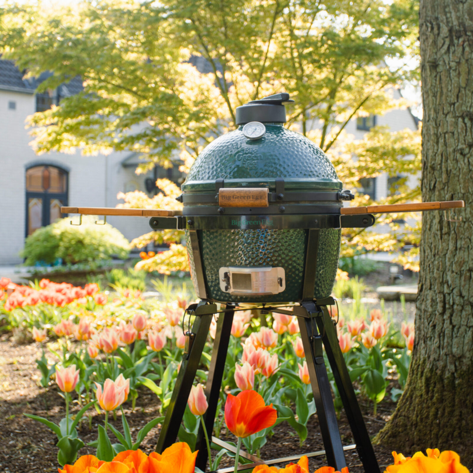 Big Green Egg